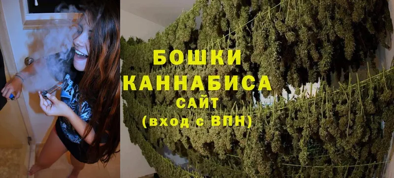 Шишки марихуана Bruce Banner  Городовиковск 